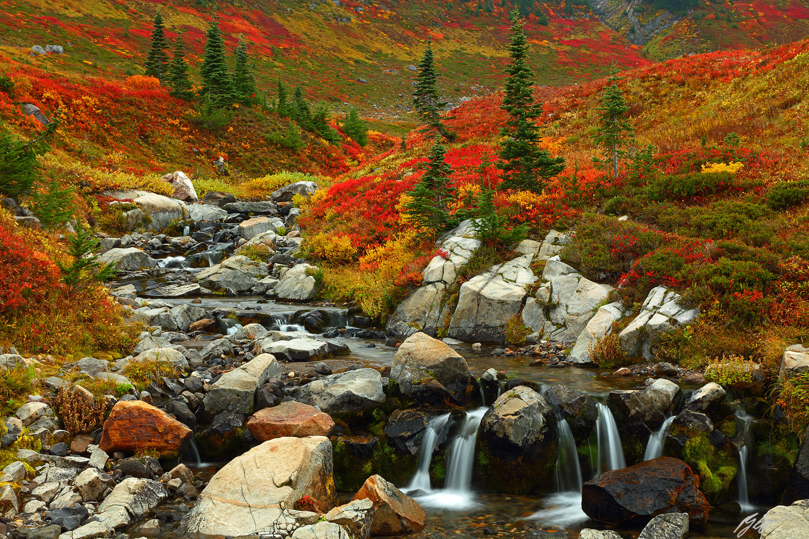 Edith Creek in Fall in Mt Rainier National Park in Washington