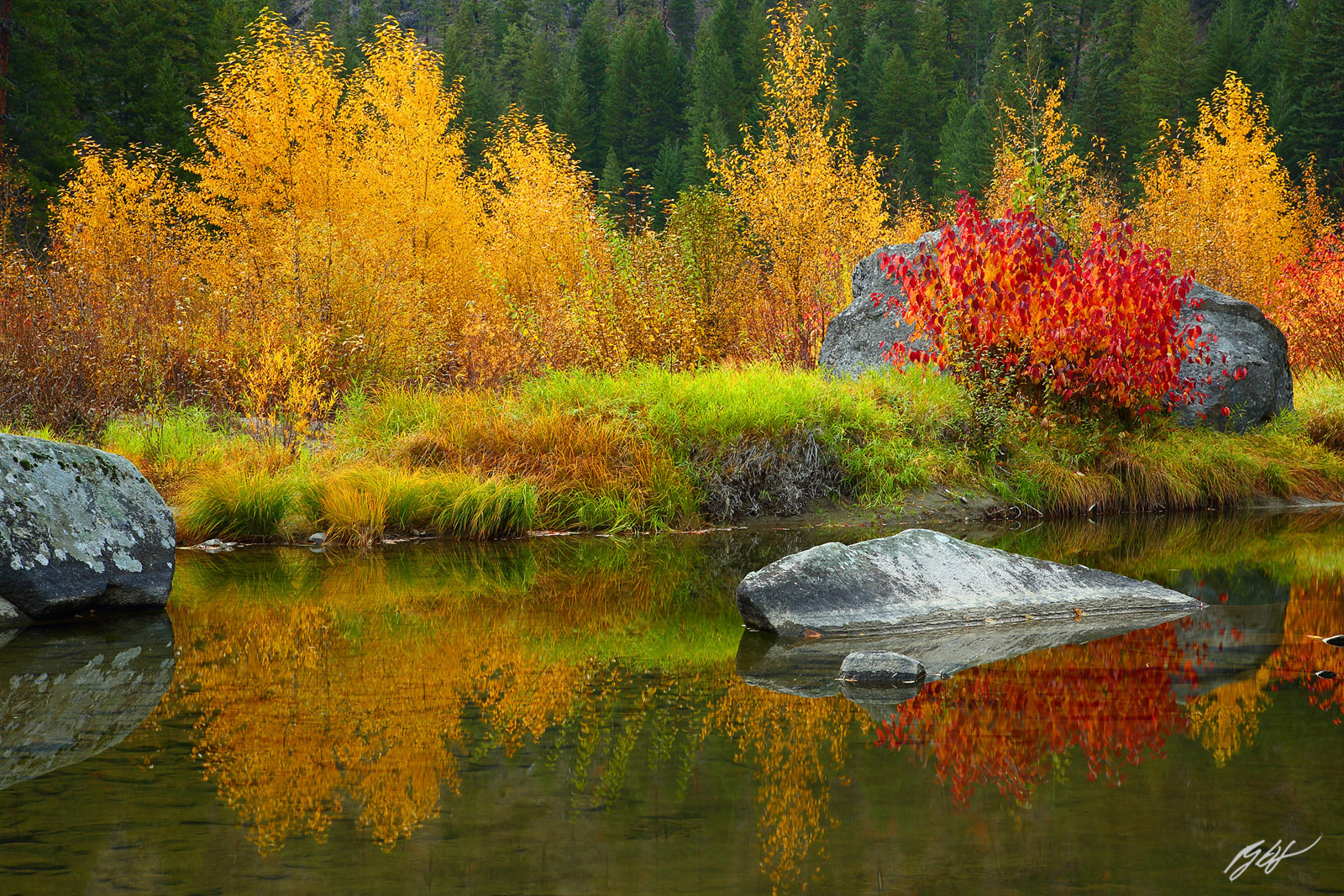 Fall Color Reflected in the Wenatchee River in Tumwater Canyon Washington