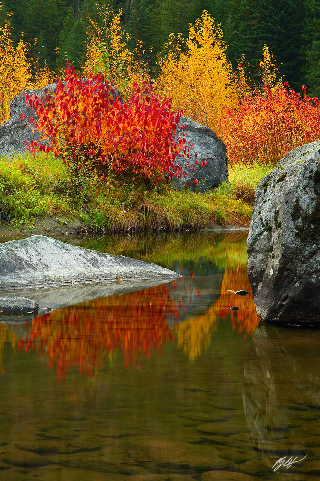 Fall Color Reflected in the Wenatchee River in Tumwater Canyon in Washington