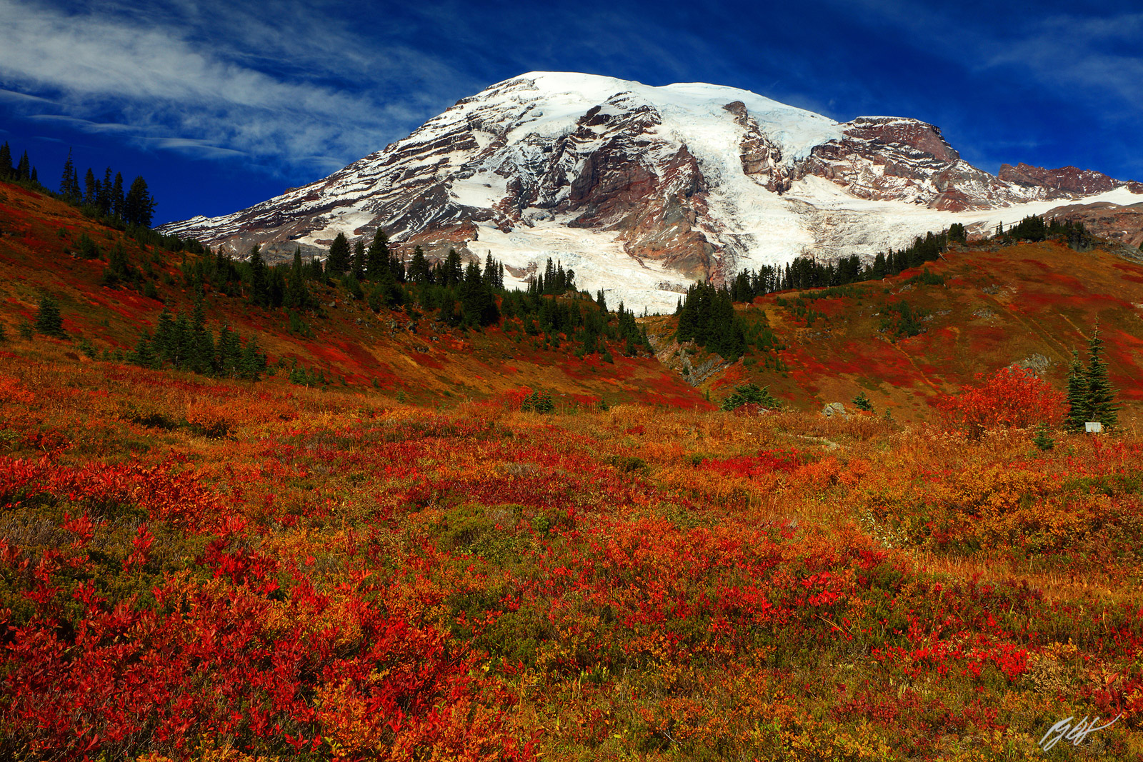 Fall Color and Mt Rainier in Mt Rainier National Park in Washington