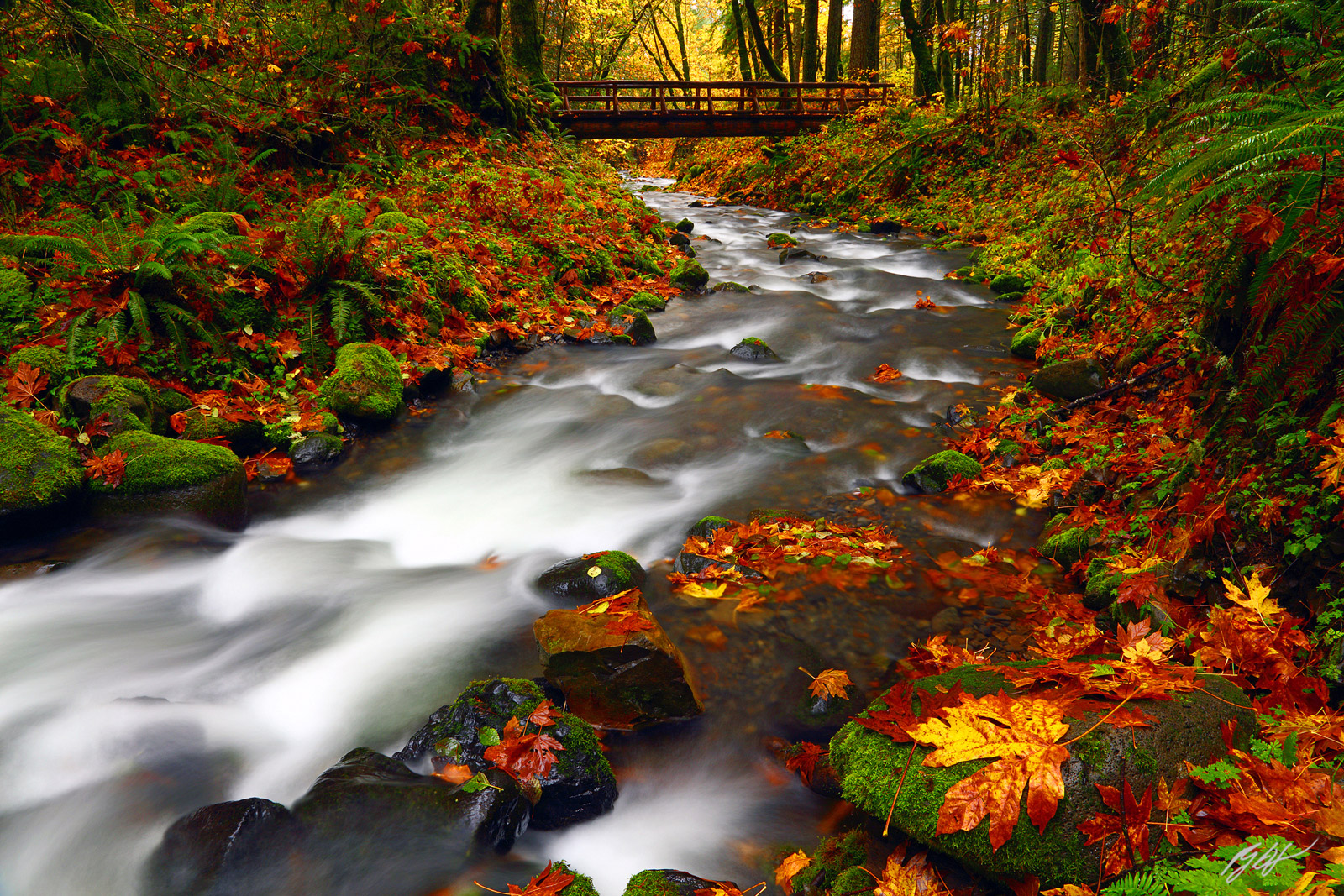 Gorton Creek in Fall in the Columbia River Gorge National Scenic Area in Oregon
