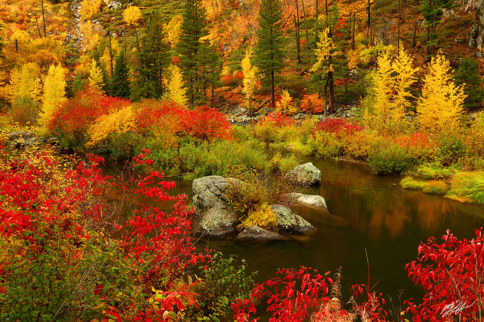 Fall Color in Tumwater Canyon Along the Wenatchee River in Washington
