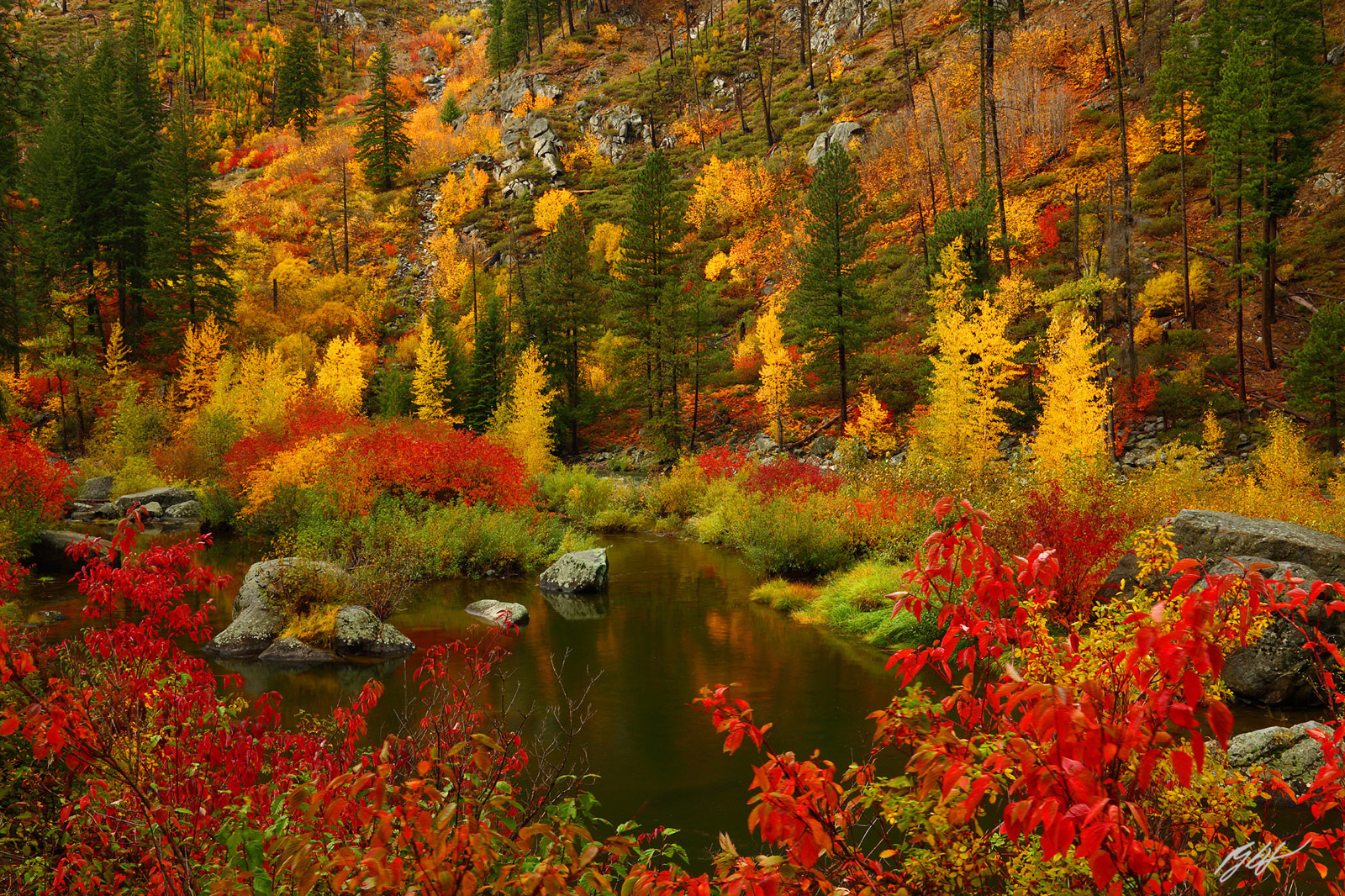 Fall Color in Tumwater Canyon Along the Wenatchee River in Washington