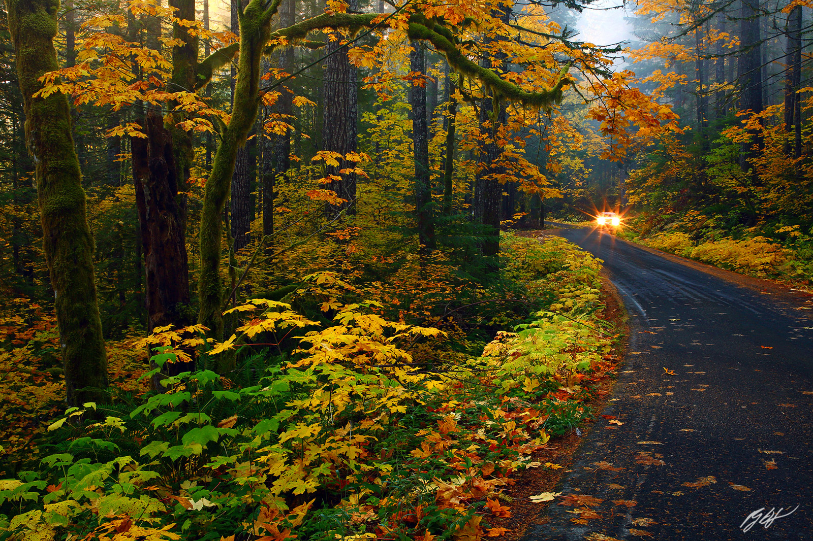 Fall Road in the Gifford Pinchot-National Forest in Washington