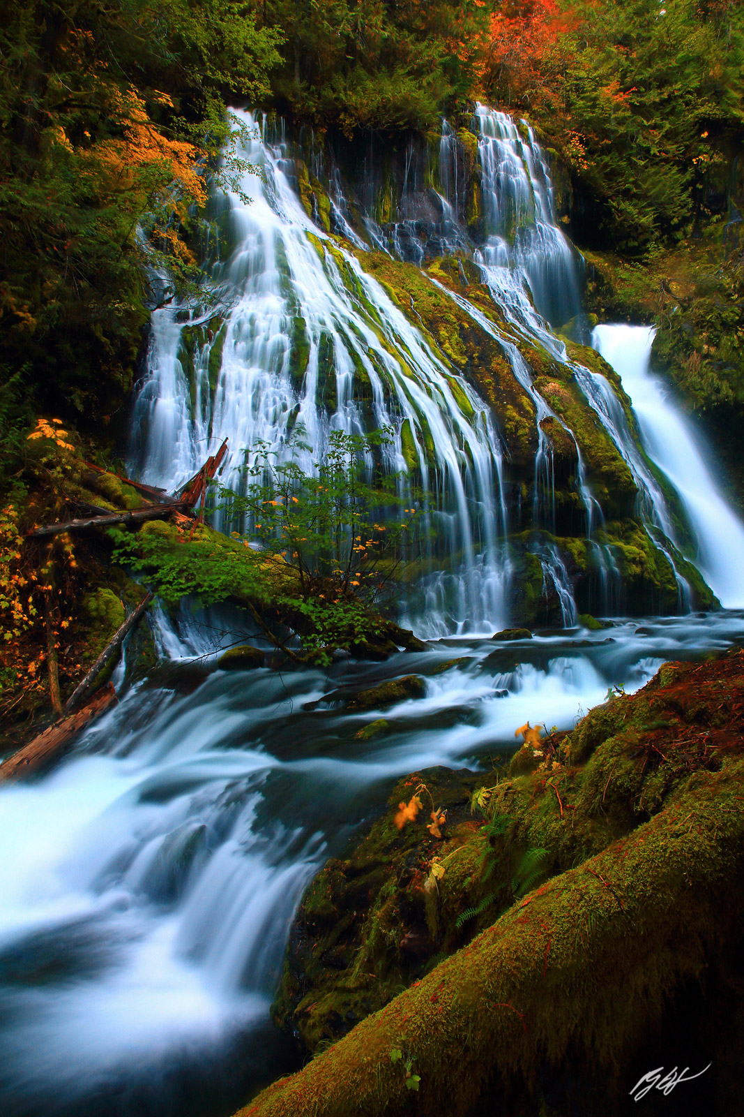 Fall Color and Panther Creek Falls in the Gifford-Pinchot National Forest in Washington