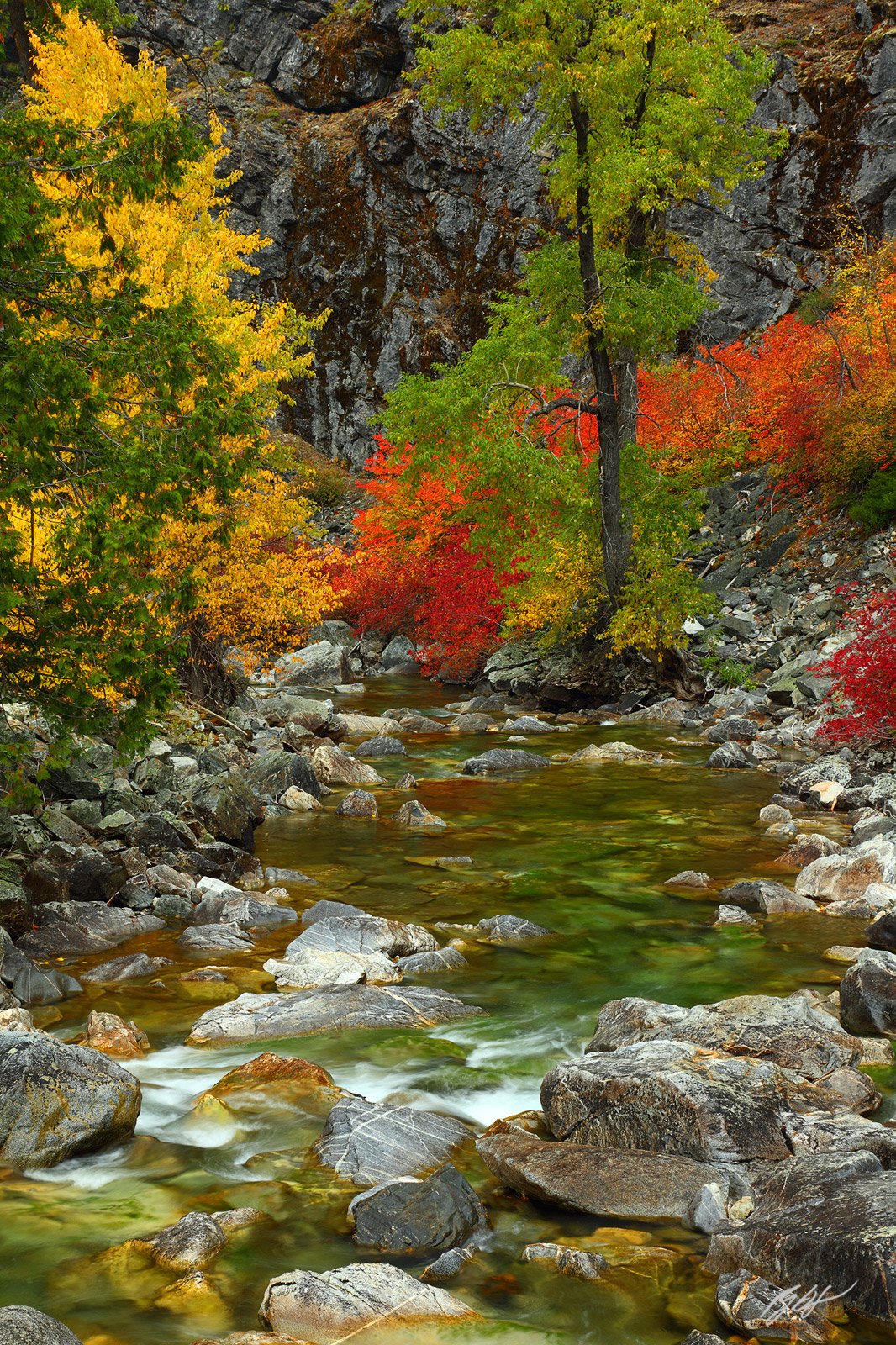 Fall Color and Nason Creek in the Wentchee National Forest in Washington