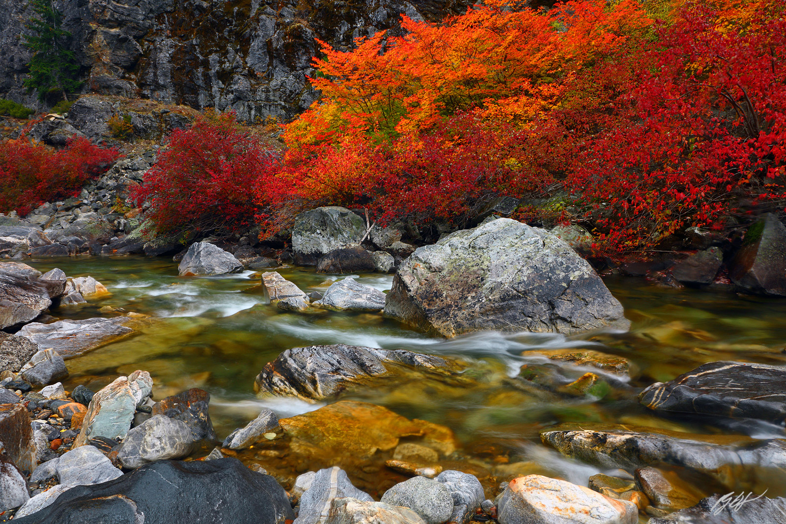 Fall Color and Nason Creek in the Wentchee National Forest in Washington