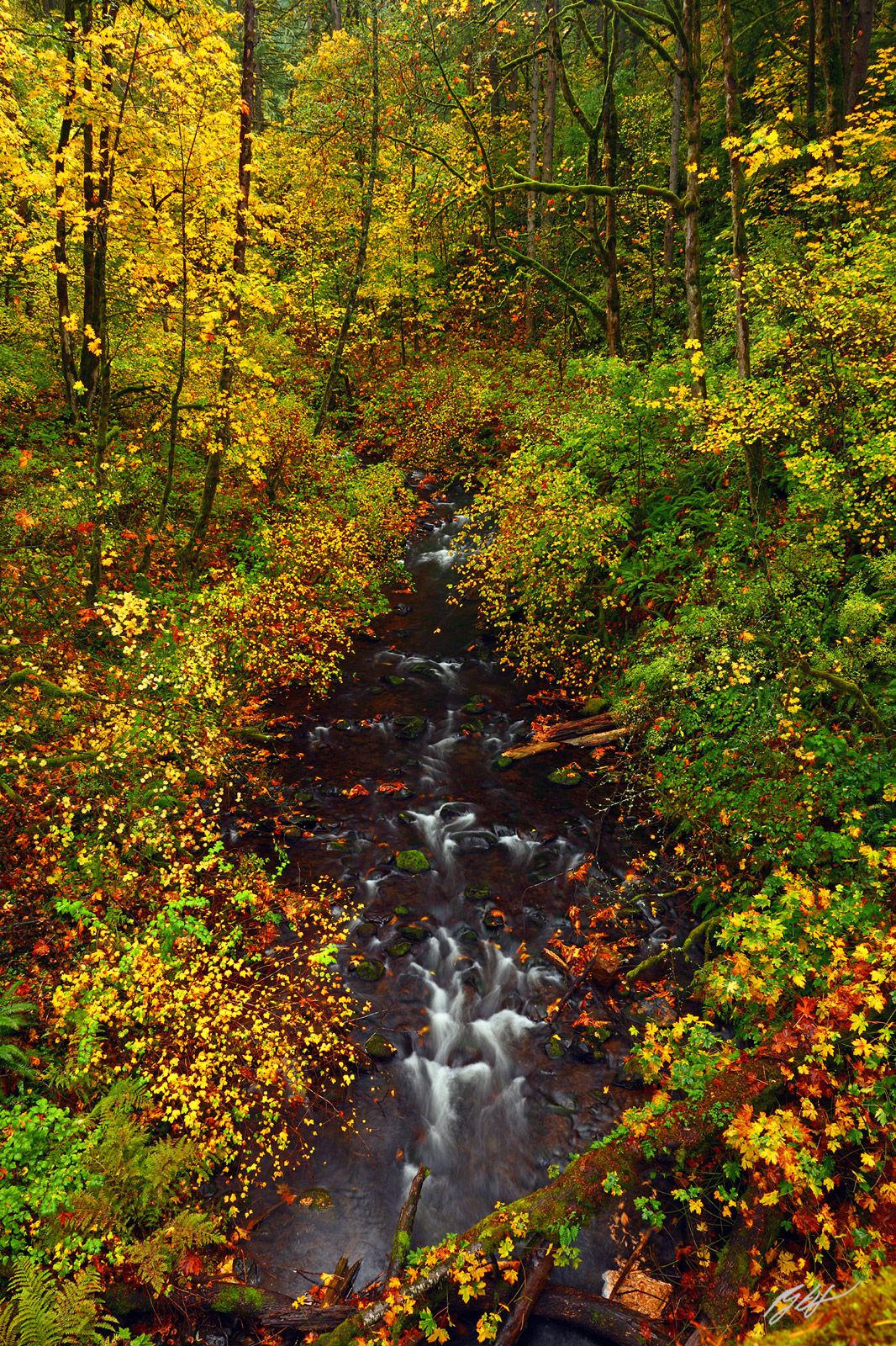 Fal Color and Bridal Veil Creek in the Columbia River Gorge National Scenic Area in Oregon