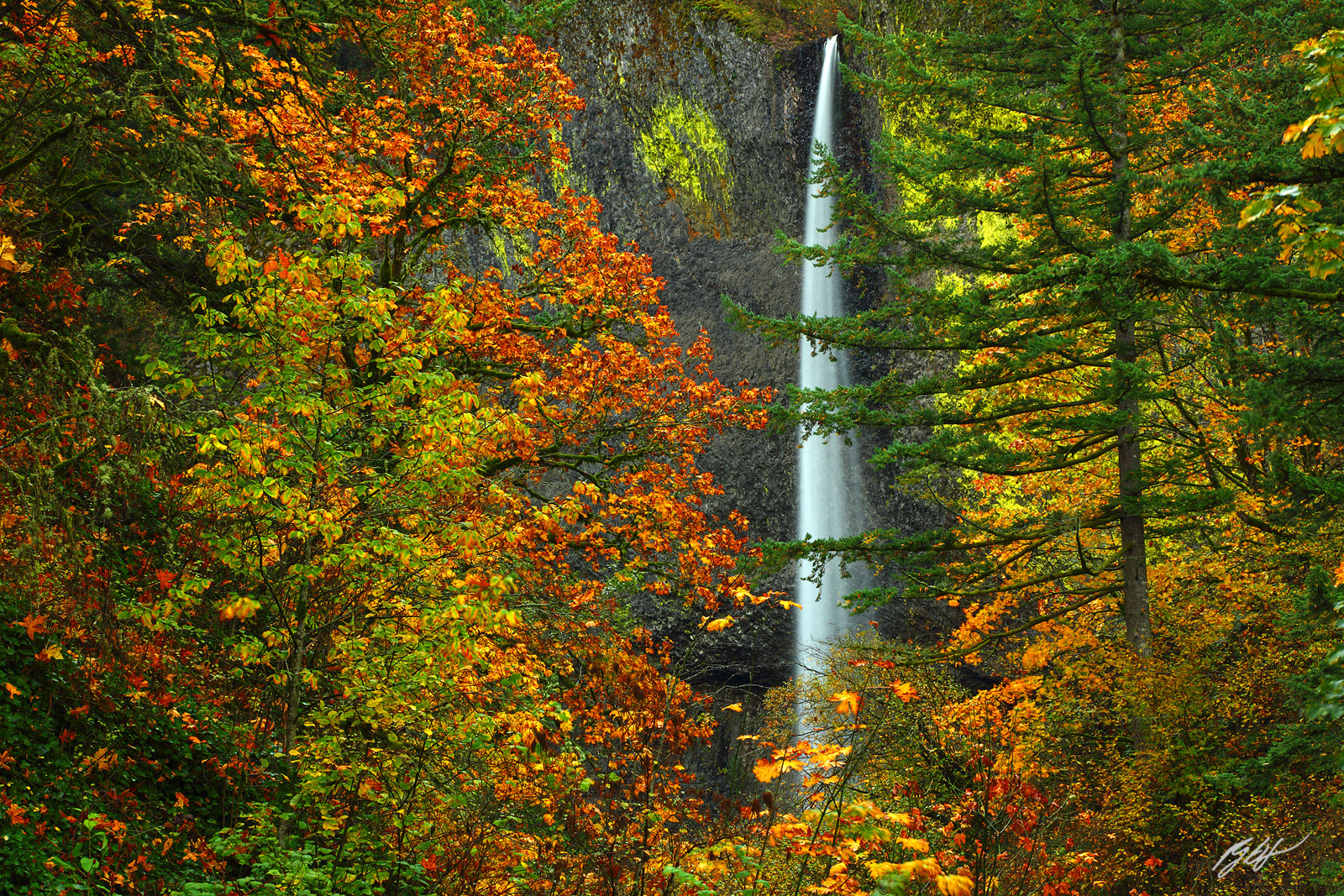 Latourell Falls in the Guy W. Talbot State Park in the Columbia River Gorge National Scenic Area in Oregon