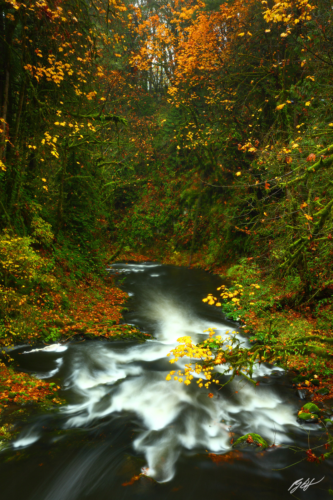 Cedar Creek in Fall from the Cedar Creek Covered Bridge Near Woodland Washington