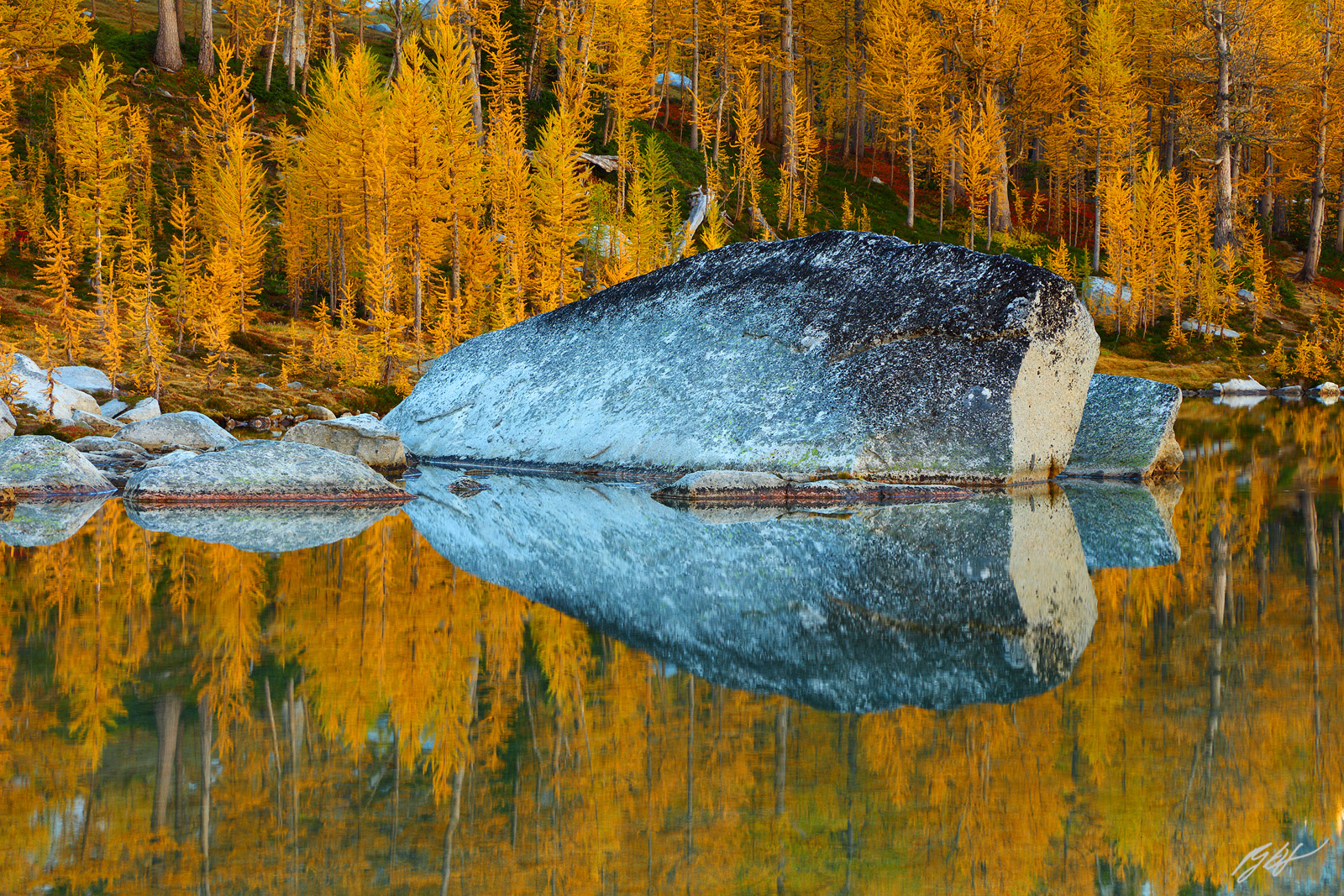 Golden Larch Reflected in Perfection Lake in the Enchantments in the Alpine Lakes Wilderness in Washington