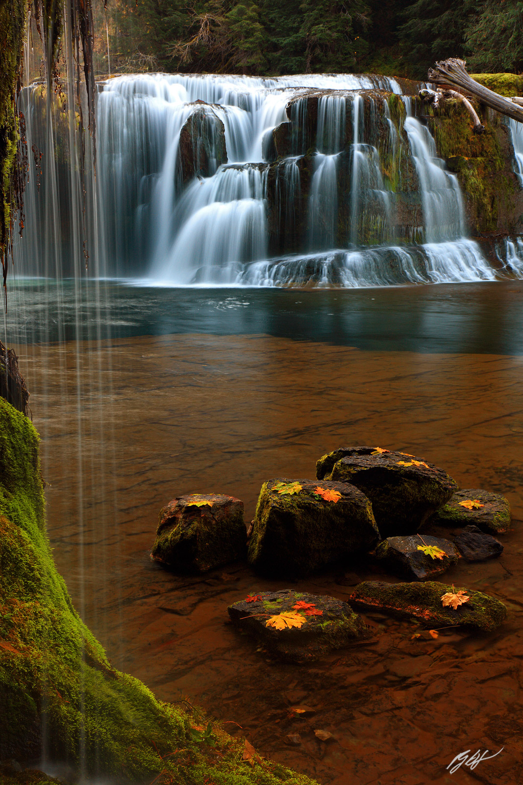 Fall Leaves and Lower Lewis River Falls in the Gifford-Pinchot National Forest in Washington