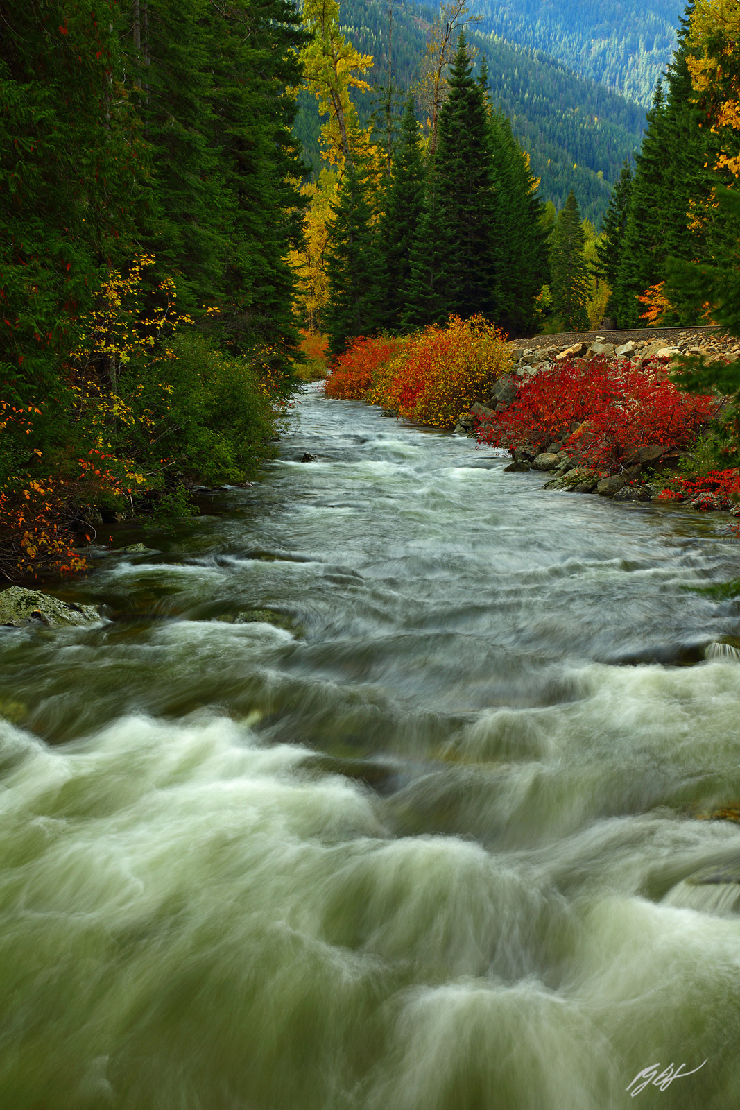 Fall Color Along Nason Creek in the Wenatchee National Forest in Washington