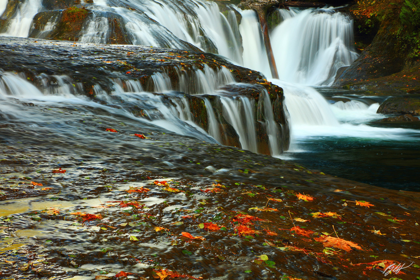 Fall Leaves and Middle Lewis River Falls in the Gifford-Pinchot National Forest in Washington