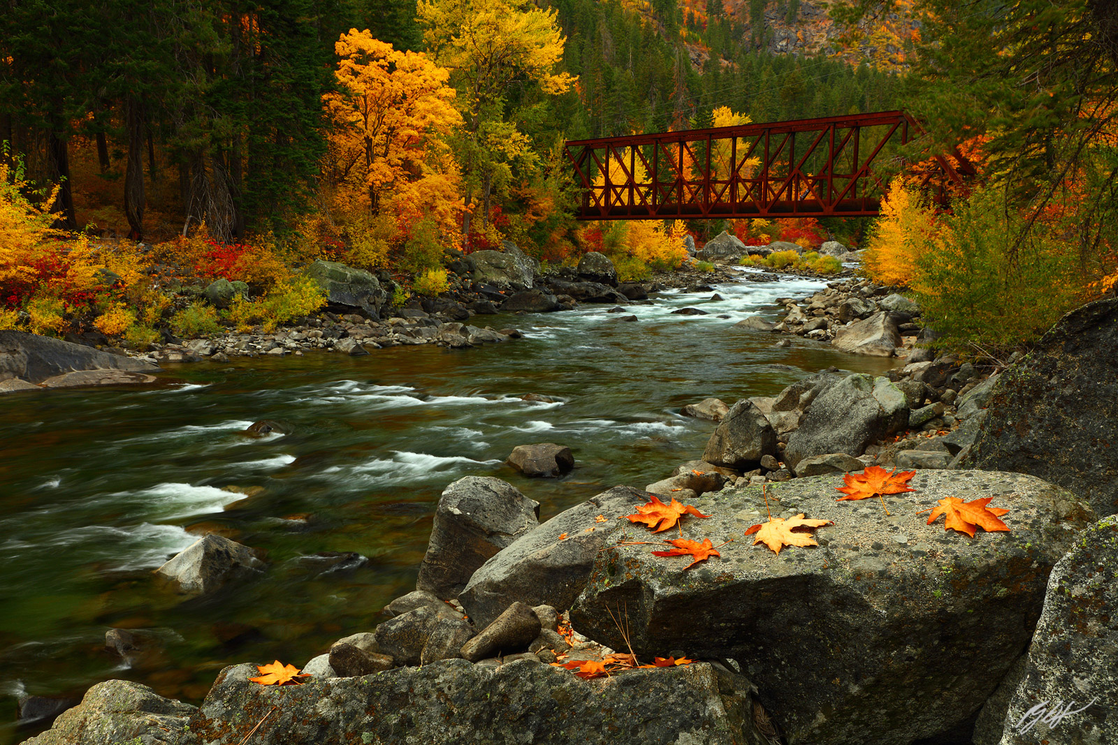 Fall Color and a Rusty Red Train Bridge over the Wenatchee River in Tumwater Canyon in Washington