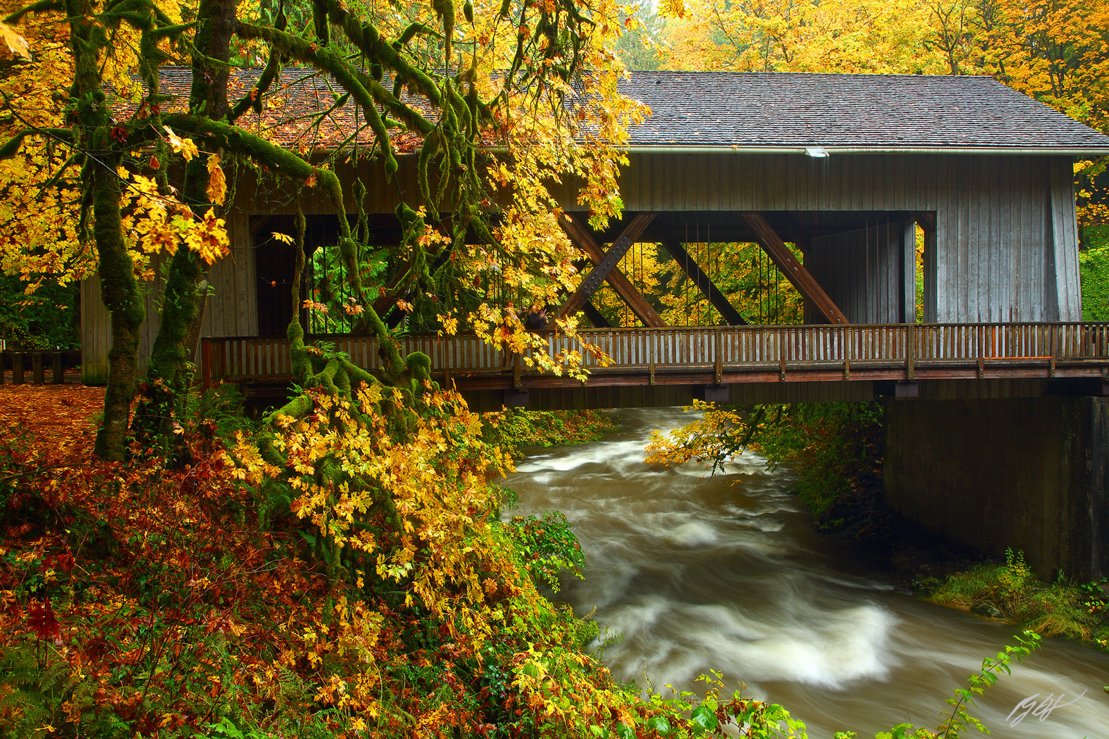Cedar Creek Flowing Under the Cedar Creek Covered Bridge in Fall Near Woodland, Washington
