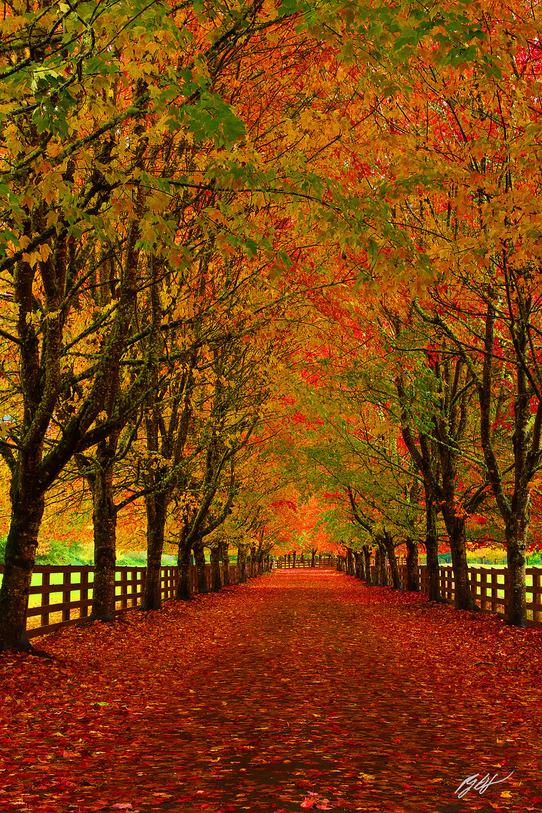 Fall Color Drive at the Rockwood Farm in Snoqualmie, Washington