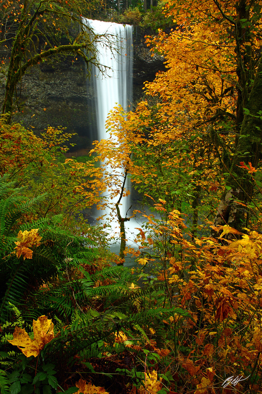 Fall Color and South Falls in Silver Falls State Park in Oregon