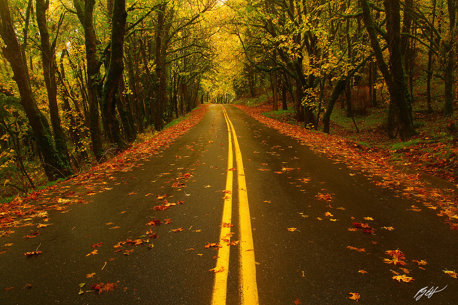 Fall Color along the Columbia River Historic Highway in the Columbia River Gorge National Scenic Area in Oregon