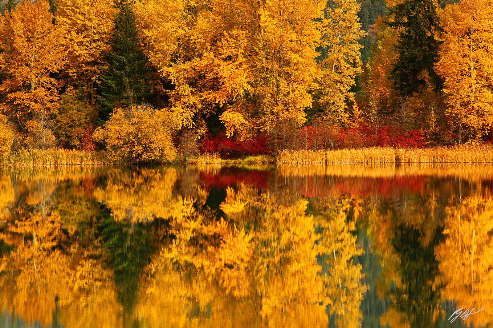 Fall Color Reflected in Easton Ponds in the Cascades Mountains in Washington