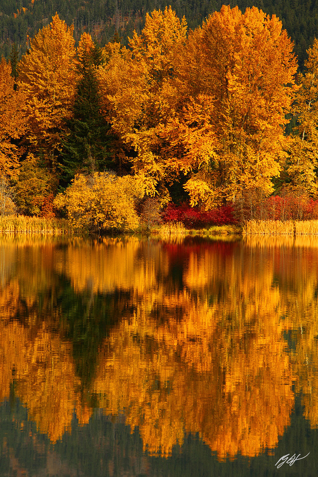 Fall Color Reflected in Easton Ponds in the Cascades Mountains in Washington