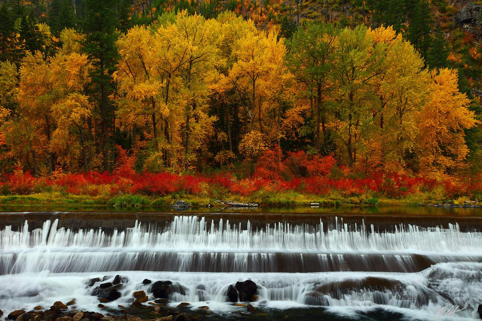 Fall Color and Tumwater Canyon Dam in the Wenatchee National Forest in Washington