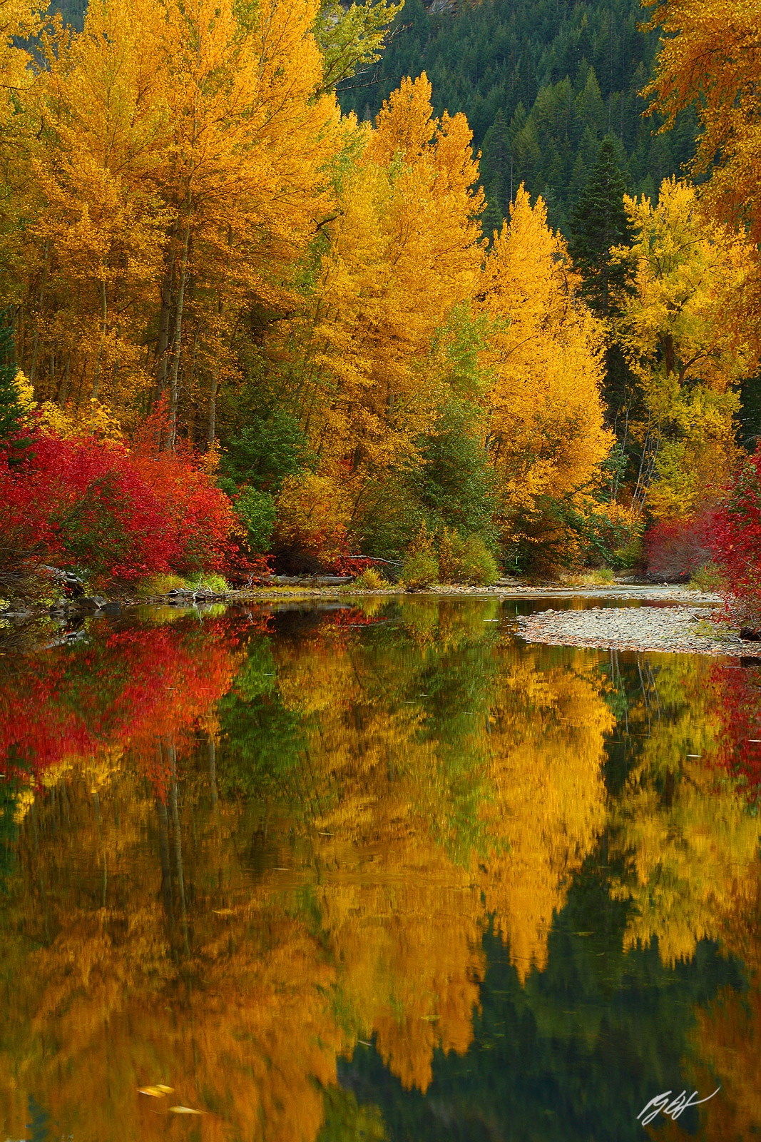 Fall Color Reflected in Nason Creek in the Wenatchee National Forest in Washington
