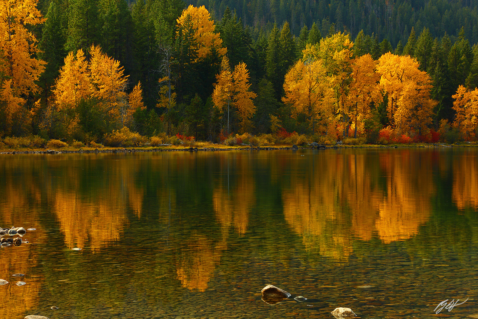 Fall Color Reflected in Lake Wenatchee in Lake Wenatchee State Park in Washington