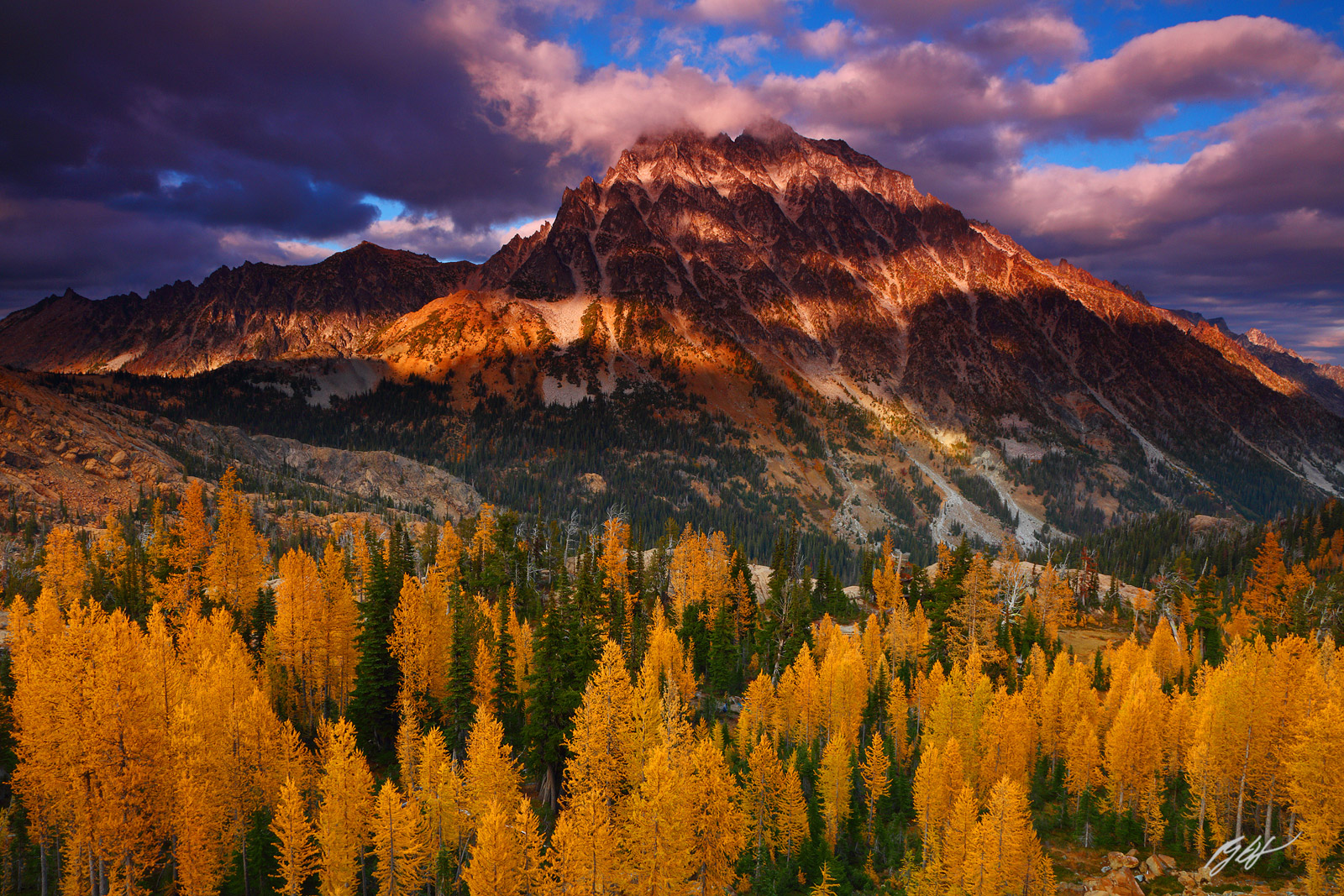 Sunset Golden Larch and Mt Stuart from the Lake Ingalls Trail in the alpine Lakes Wilderness, in Washington
