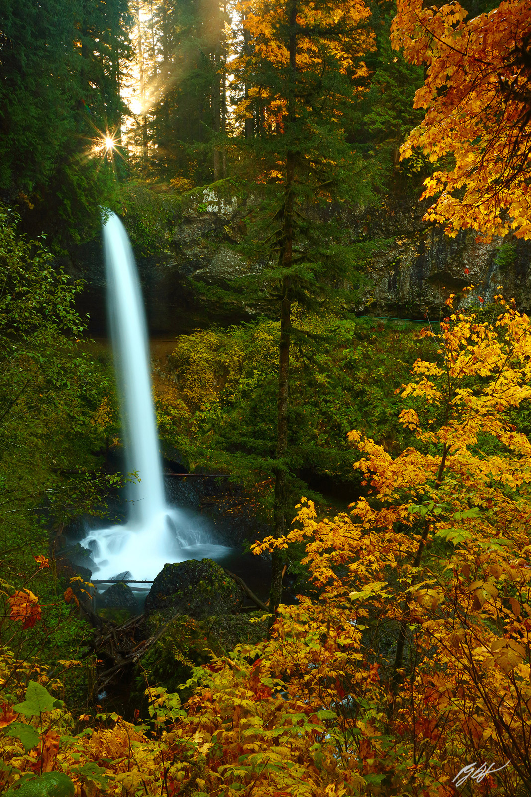Fall Color and North Falls in Siver Falls State Park in Oregon