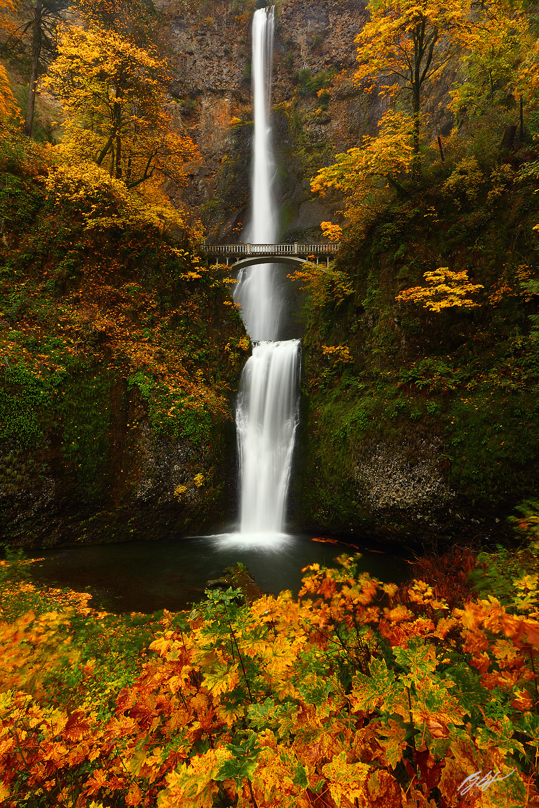 Multnomah Falls in the Columbia River Gorge National Scenic area in Oregon