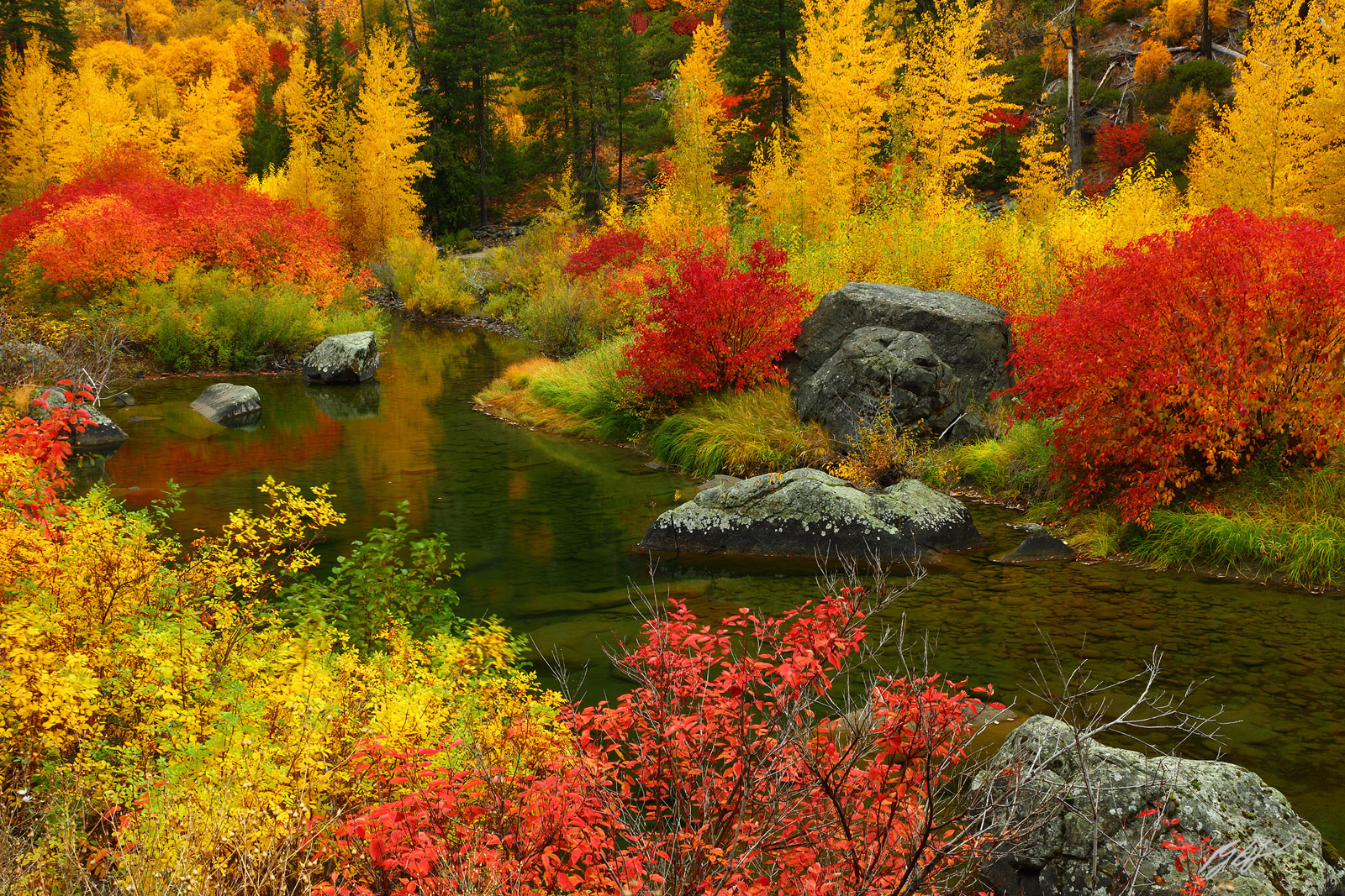 Fall Color and the Wenatchee River in Tumwater Canyon in Washington