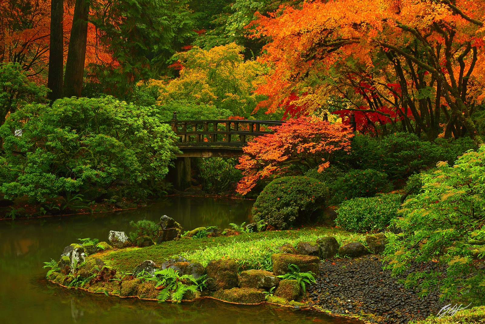 Fall Color and Classic Hiking Bridge in the Portland Japanese Garden in Oregon