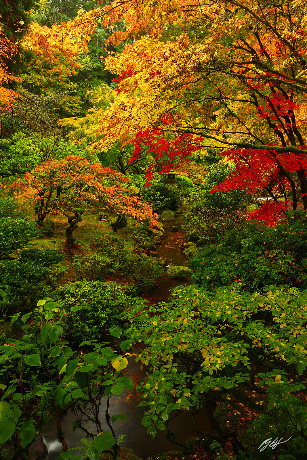Fall Color in the Portland Japanese Garden in Washington Park in Portland, Oregon