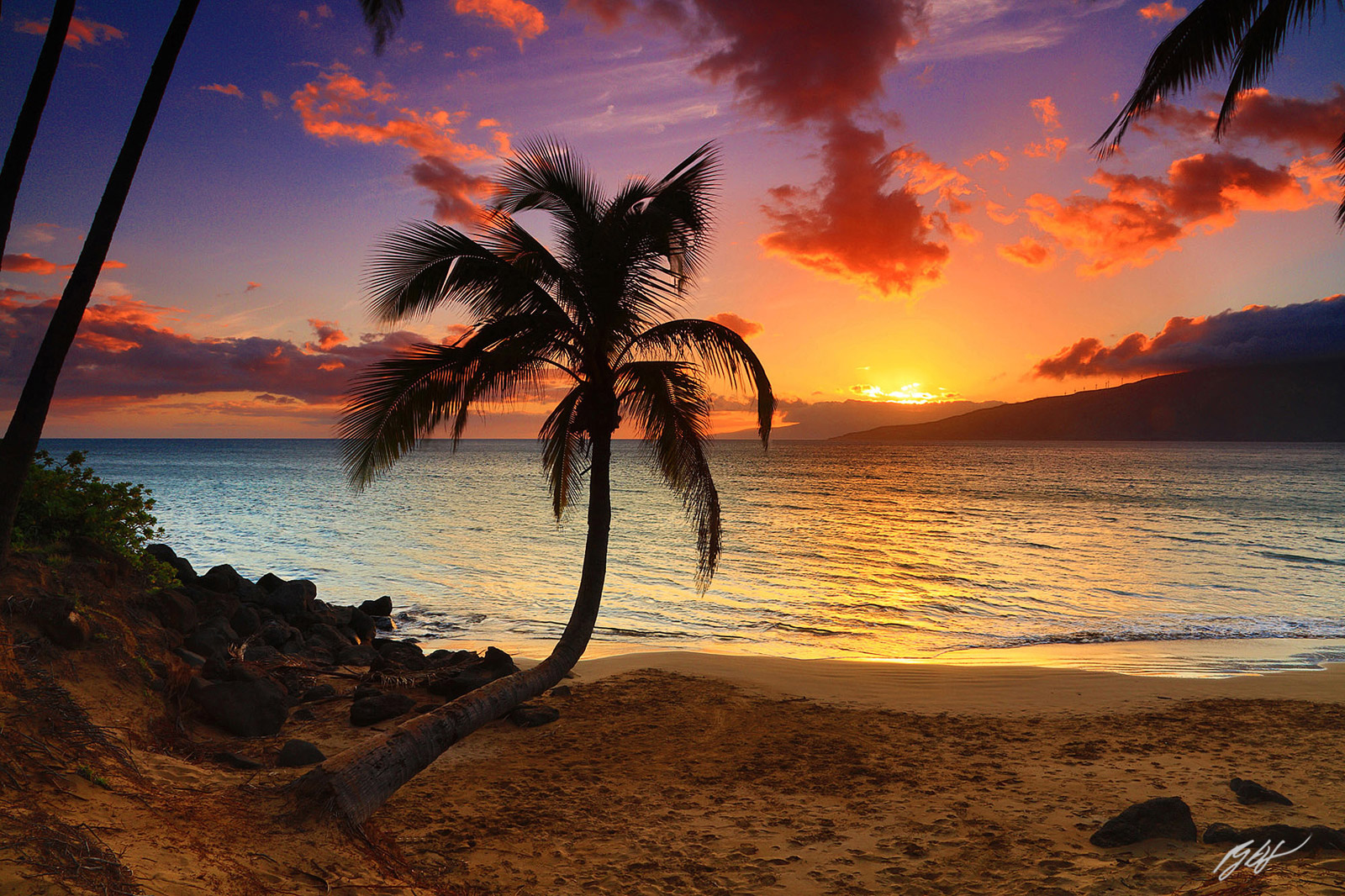 Palm Tee at Sunset from a Beach in Kihei on the Island of Maui in the Hawaiian Islands