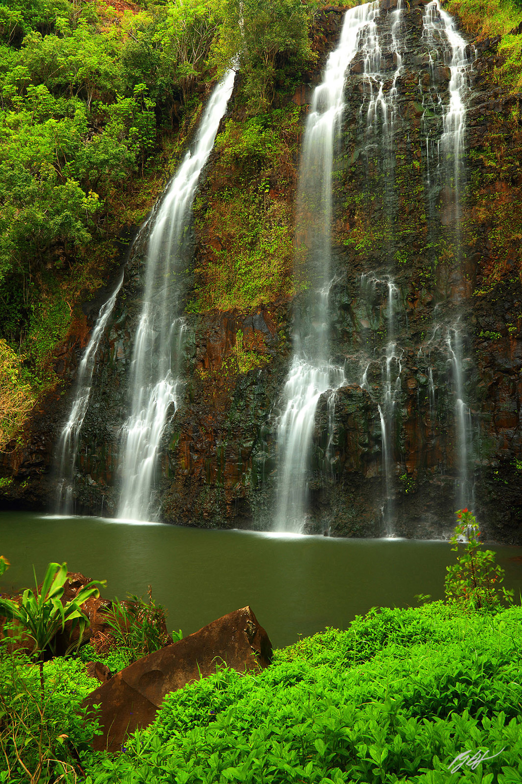 Opaekaa Falls on the Island of Kauai, Hawaii