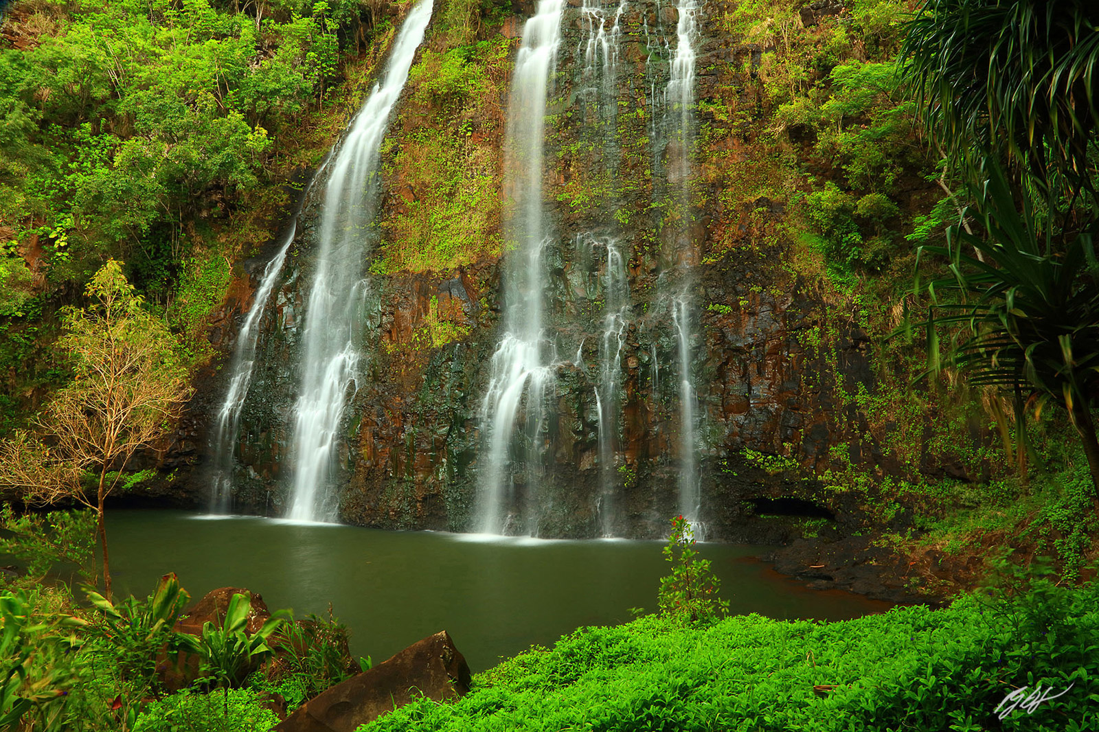 Opaekaa Falls on the Island of Kauai, Hawaii