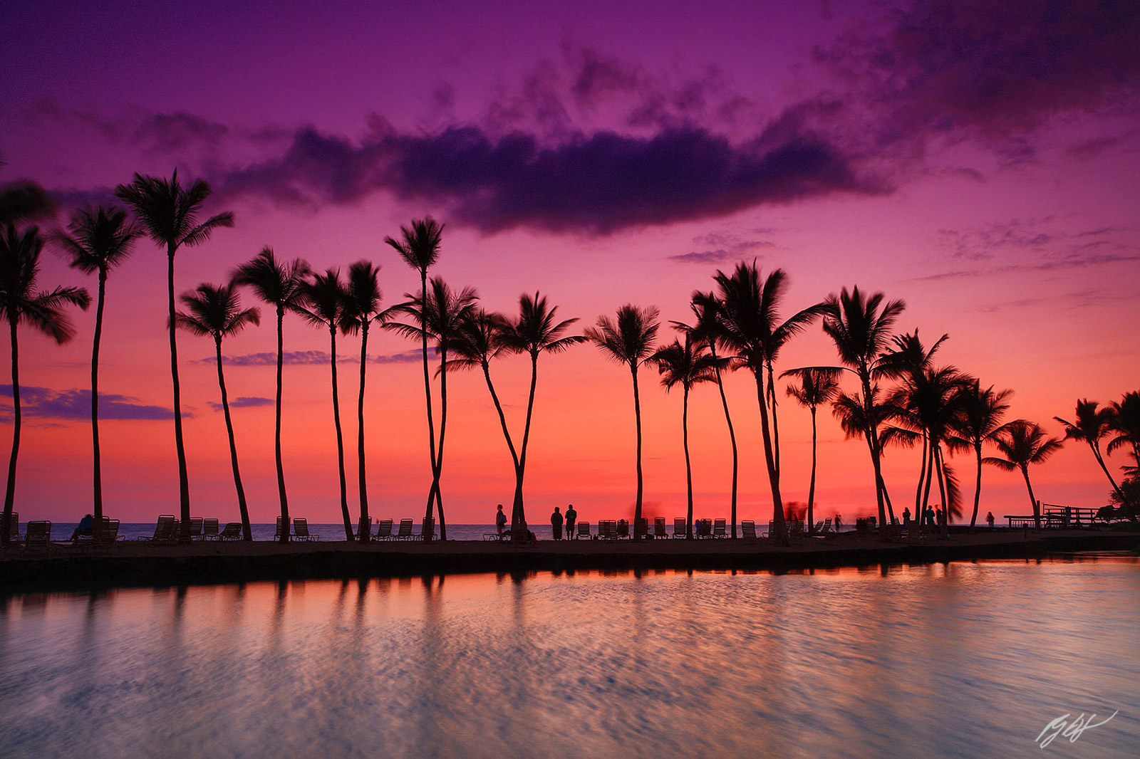 Sunset and Palm Trees from the Big Island of Hawaii