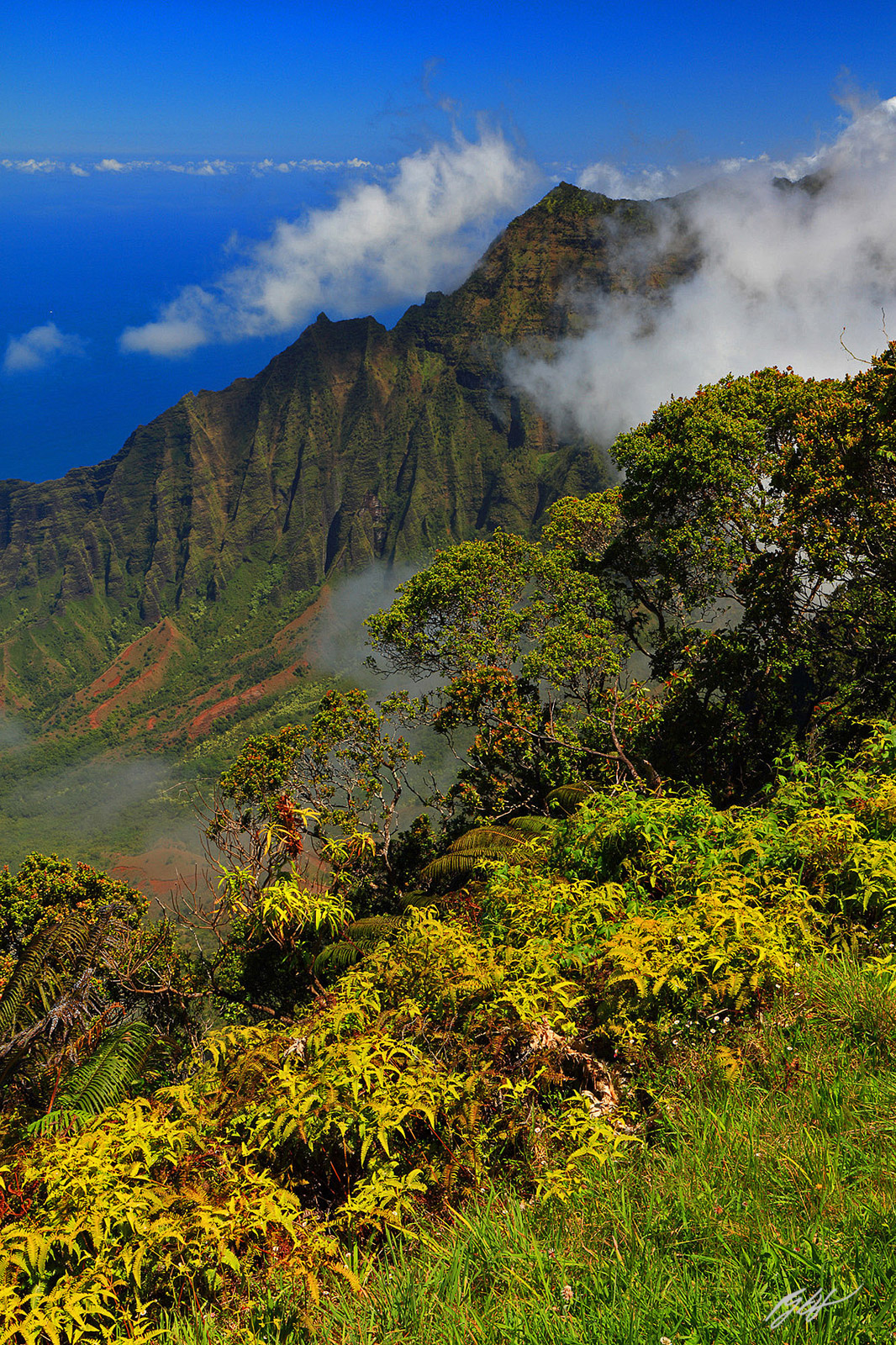 The Beautiful Napali Cliffs on the Garden Island of Kauai, Hawaii