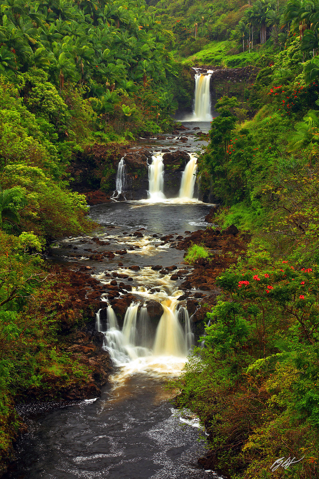 Umauma Falls in Paradise on the Big Island of Hawaii