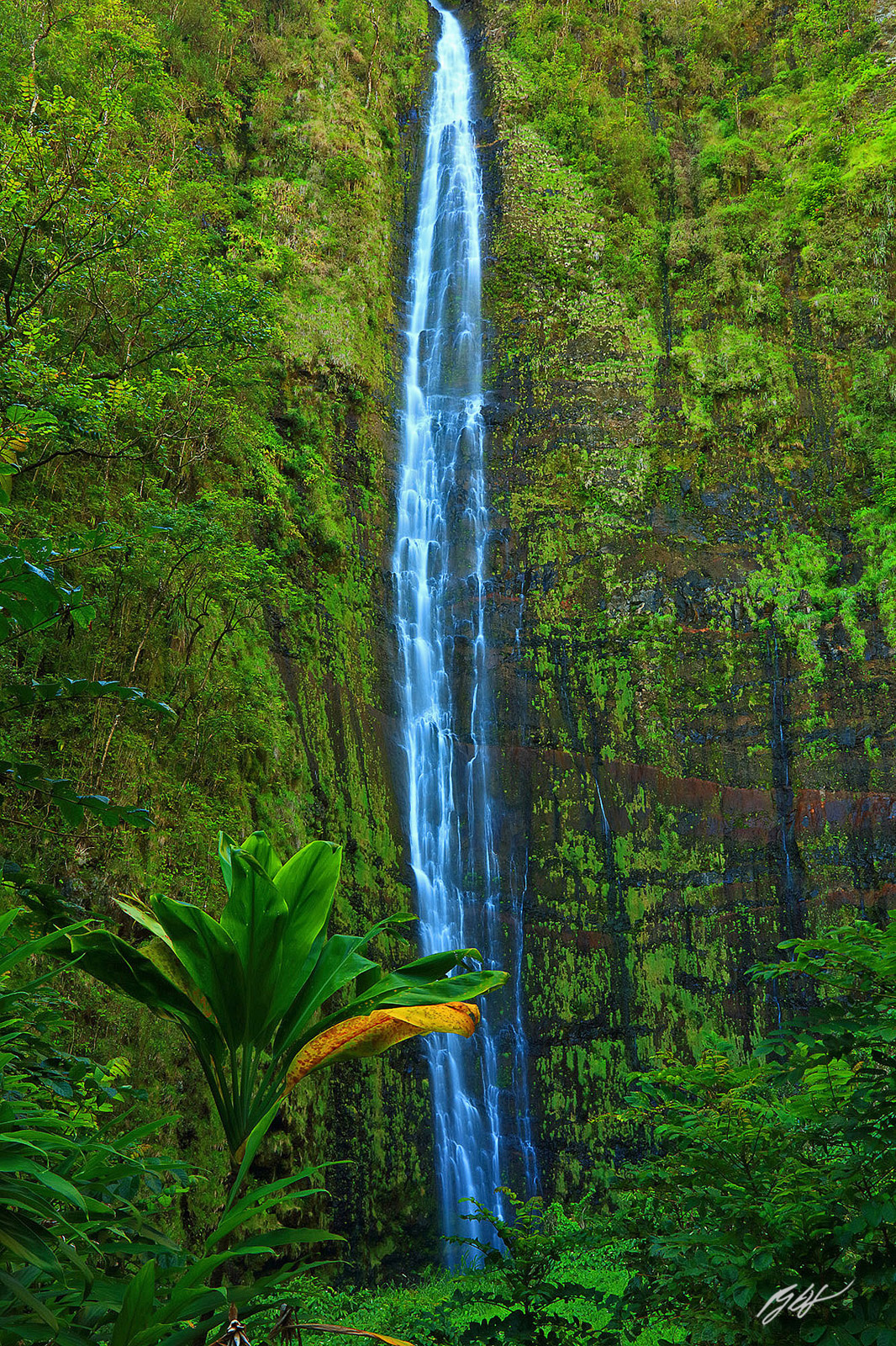 Makahiku Fall and the end of the Pipiwau Trail in Haleakala National Park on the island of Maui, Hawaii