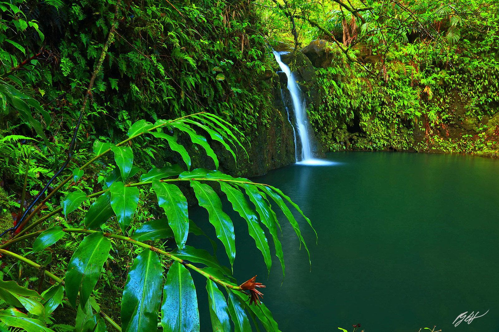 Secret Waterfall along the Road to Hana on the island of Maui, Hawaii