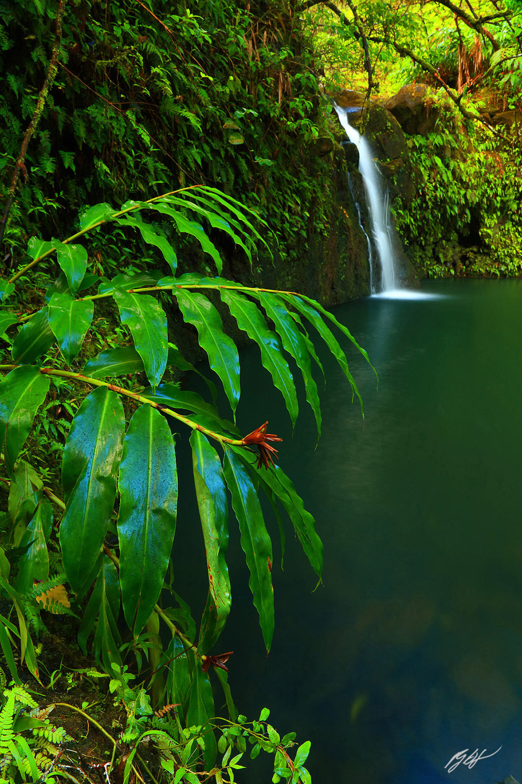 Secret Waterfall along the Road to Hana on the island of Maui, Hawaii