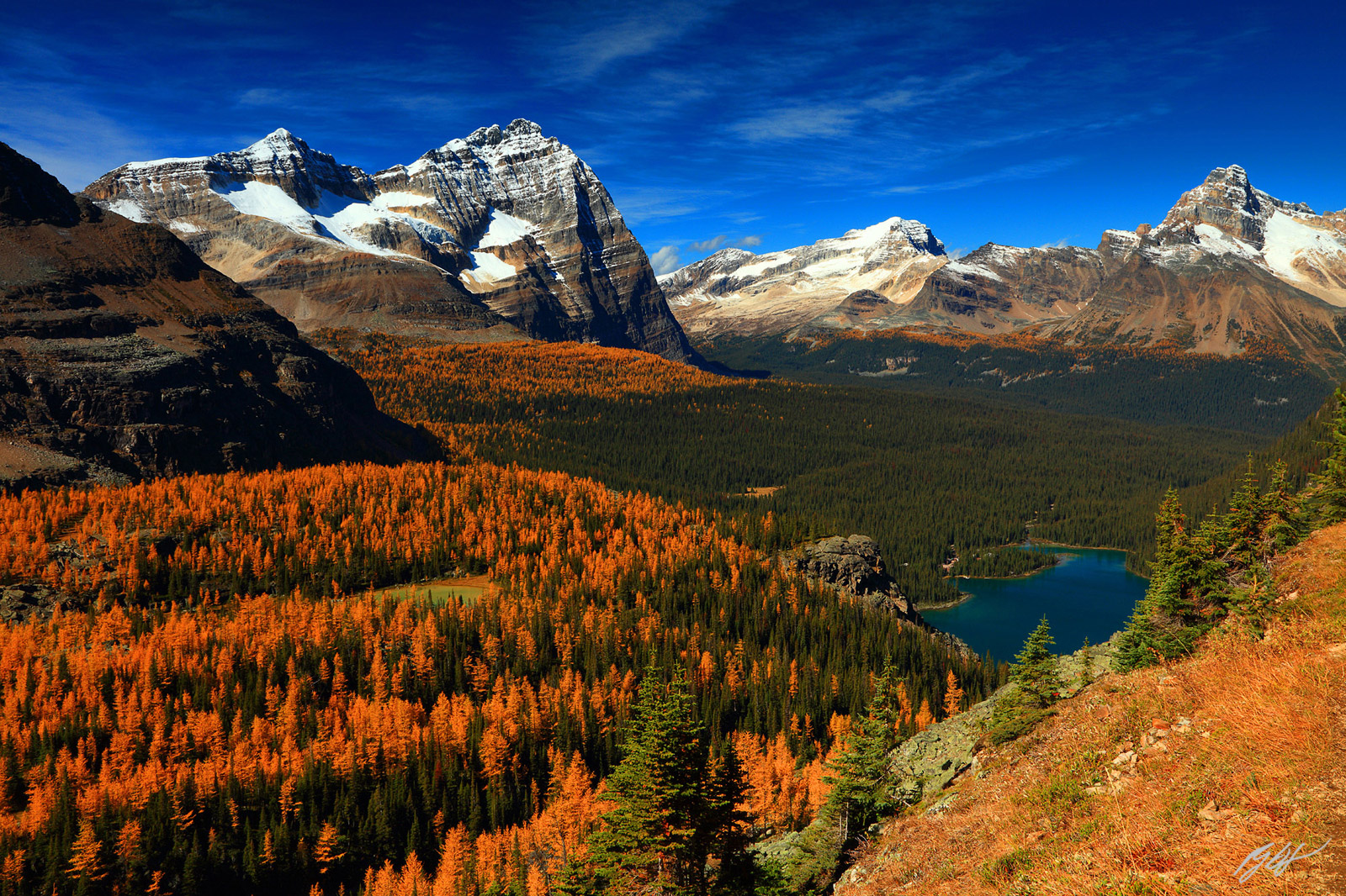 Odaray and Cathedral Mountains with Lake O'Hara in Yoho National Park in Canada