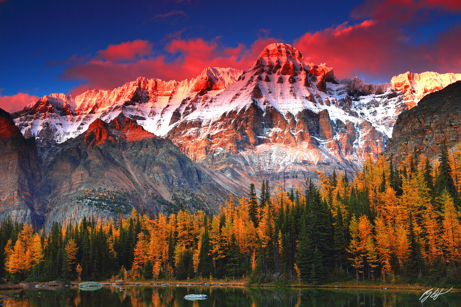 Sunset Golden Larch and Mt Huber in the Lake O'Hara Region of Yoho National Park in Canada
