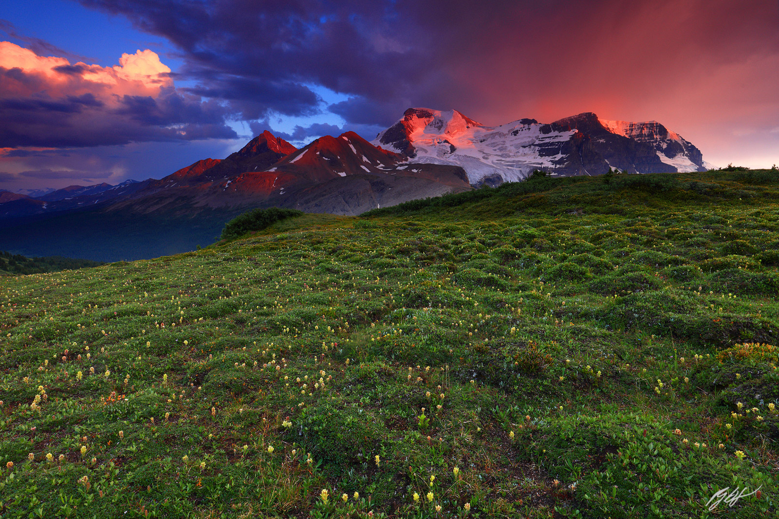 Sunset Mt Athabasca in Jasper National Park in Canada
