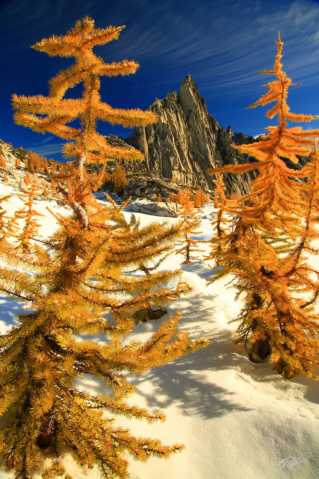 Golden Larch and Prusik Peak in the Enchantments, Alpine Lakes Wilderness in Washington