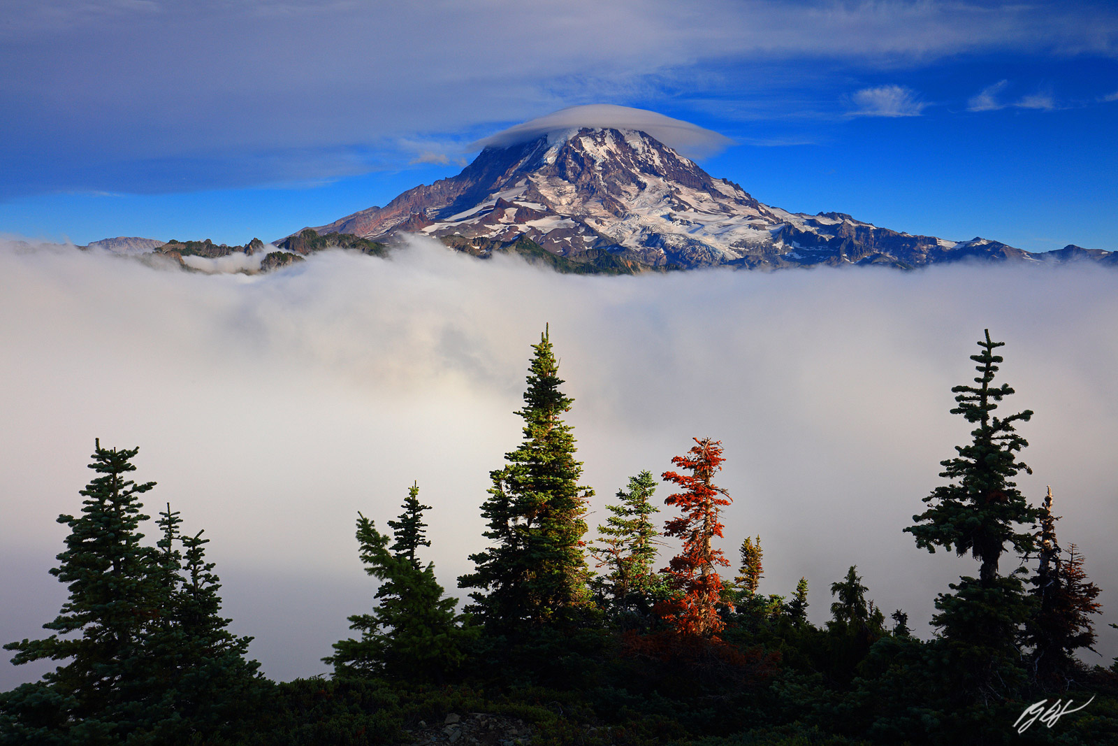Mt Rainier Rises Above the Clouds from Tolmie Peak in Mt Rainier National Park in Washington