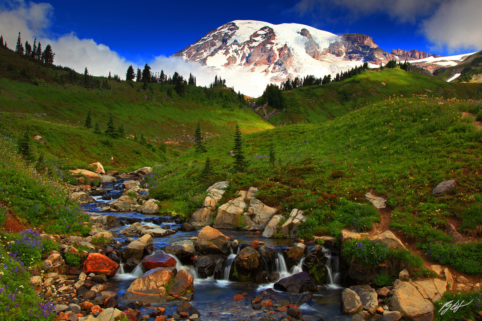 Edith Creek and Mt Hood from Mt Rainier National Park in Washington