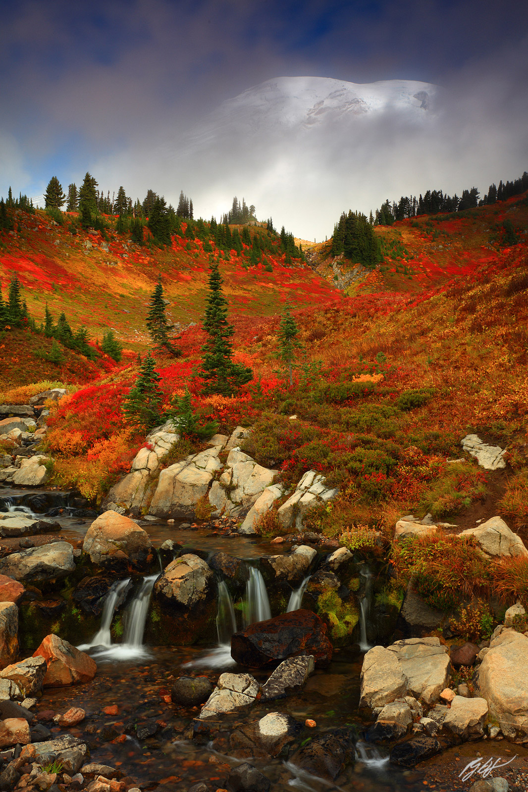Fall Color Edith Creek and Mt Rainier from Mt Rainier National Park, in Washington